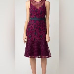 SONYA LACE DRESS - Adelyn Rae